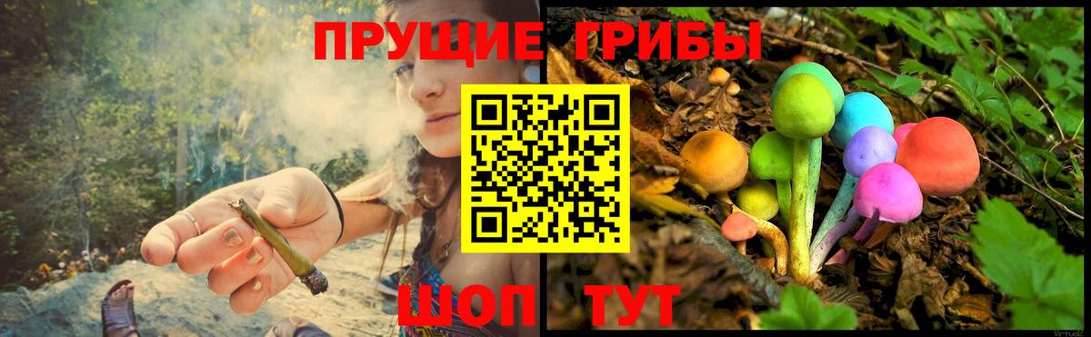 Галлюциногенные грибы прущие грибы  наркошоп  Янаул  Вход с VPN 